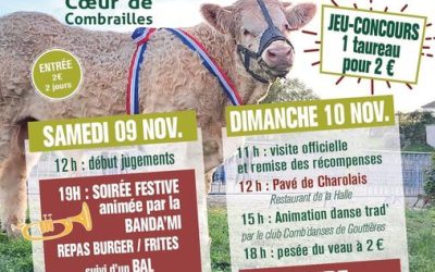 Concours Charolais 2024