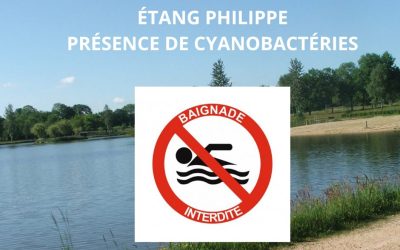 Etang Philippe : baignade interdite
