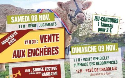 Concours charolais 2025