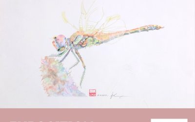 Expo à la bibliothèque