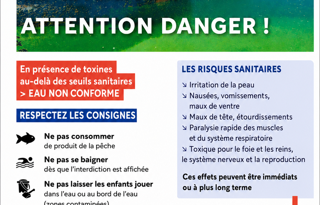 Pour info présence de cyanobactéries à l&rsquo;étang