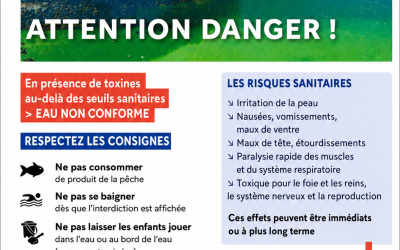 Pour info présence de cyanobactéries à l&rsquo;étang